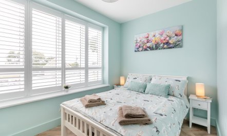 3 Bed in Buckland St. Mary 3