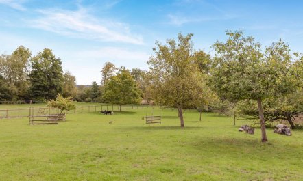 2 Bed in Beercrocombe 1