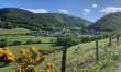 2 Bed in Abergynolwyn 7