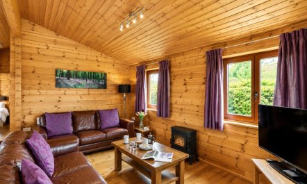 2 Bed in Llandinam 2