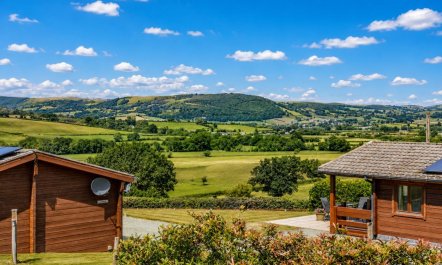 2 Bed in Llandinam 4