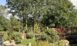 1 Bed in Alton Pancras 2