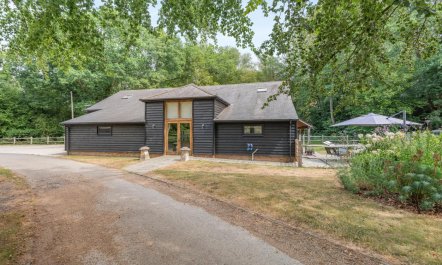 4 Bed in Ewhurst Green