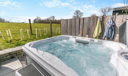 3 Bed in Broadwoodwidger 3
