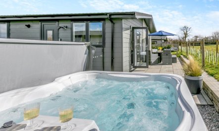 3 Bed in Broadwoodwidger