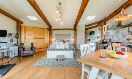 1 Bed in Dihewyd 5