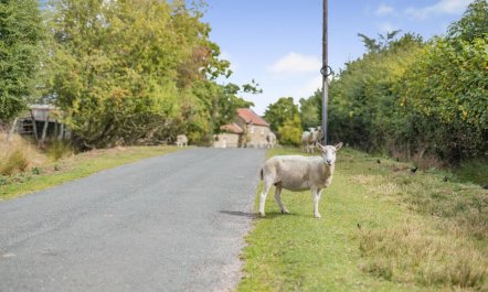 3 Bed in Goathland 1