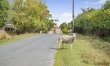 3 Bed in Goathland 1