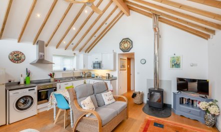 1 Bed in Instow 5