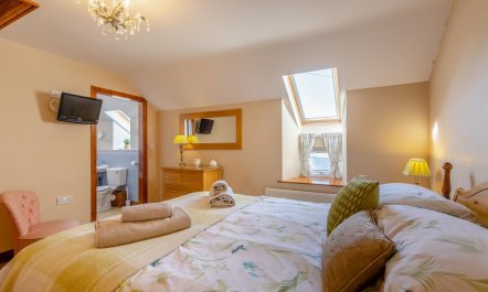 3 Bed in Llanfwrog 6