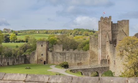 2 Bed in Ludlow 1