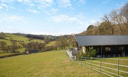 4 Bed in Berriew 6