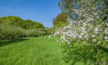 1 Bed in Burnham Overy Town 6