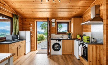2 Bed in Llandinam 8