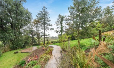 4 Bed in West Down 4