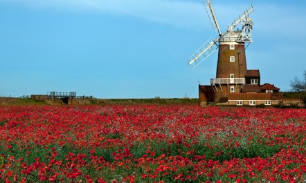 2 Bed in Holt 8