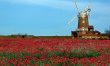 2 Bed in Holt 8