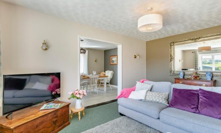 4 Bed in Twitchen 5