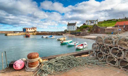 2 Bed in Coldingham 3