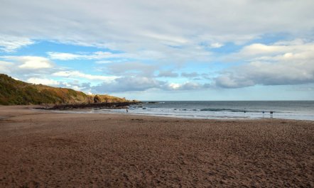 2 Bed in Coldingham 2