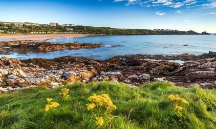 2 Bed in Coldingham 1