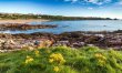 2 Bed in Coldingham 1