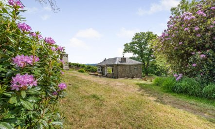 1 Bed in Brynteg