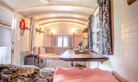 1 Bed in Dihewyd 9