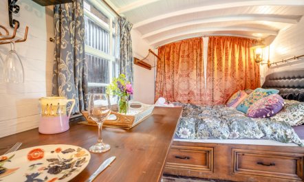 1 Bed in Dihewyd 8