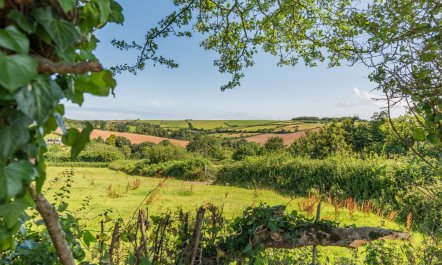 2 Bed in Fairy Cross 2