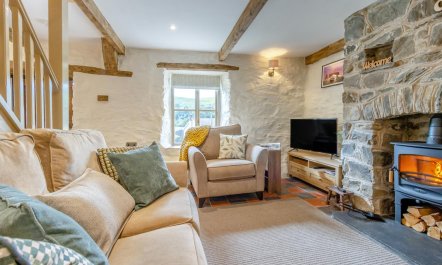 2 Bed in Cwmystwyth 4