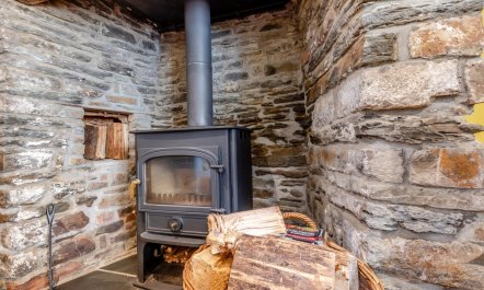 3 Bed in Appledore 8