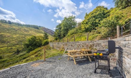 3 Bed in Abergynolwyn 5