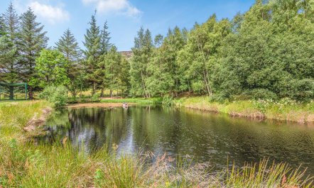 2 Bed in Newtonmore 5