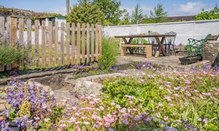 3 Bed in Maudlam 4