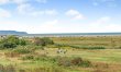 4 Bed in Northam 2