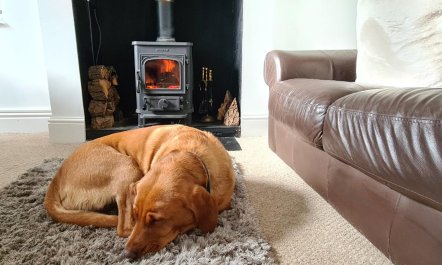 2 Bed in Holloway 4