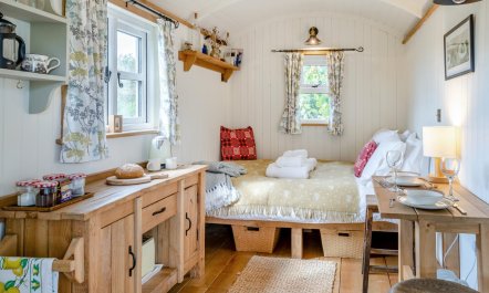 1 Bed in Trefeitha 5