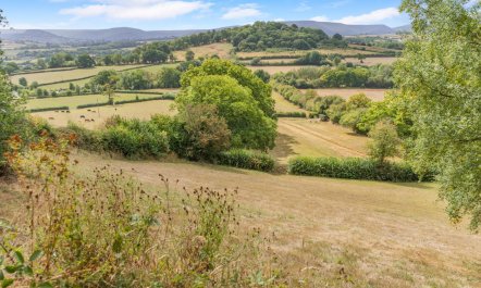 1 Bed in Trefeitha 4