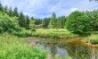 5 Bed in Snaizeholme 9
