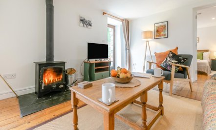 3 Bed in Torpoint 4