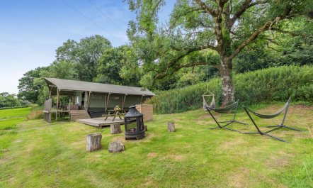 3 Bed in Roborough 2