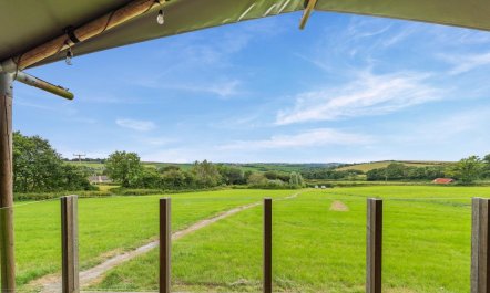 3 Bed in Roborough 1