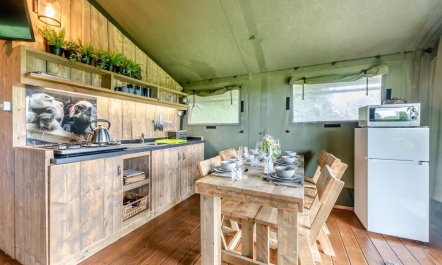 3 Bed in Roborough 7
