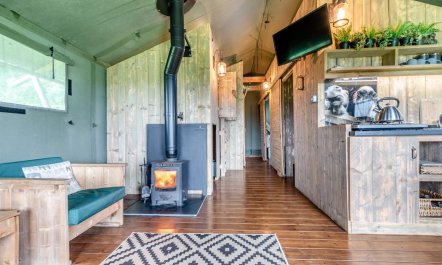3 Bed in Roborough 5