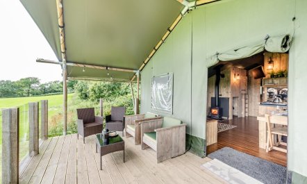 3 Bed in Roborough 3
