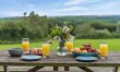 3 Bed in Roborough 2