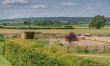 3 Bed in Cawton 2