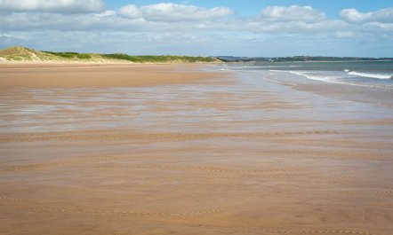2 Bed in Amble 3
