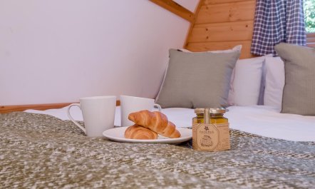 1 Bed in Northrepps 6